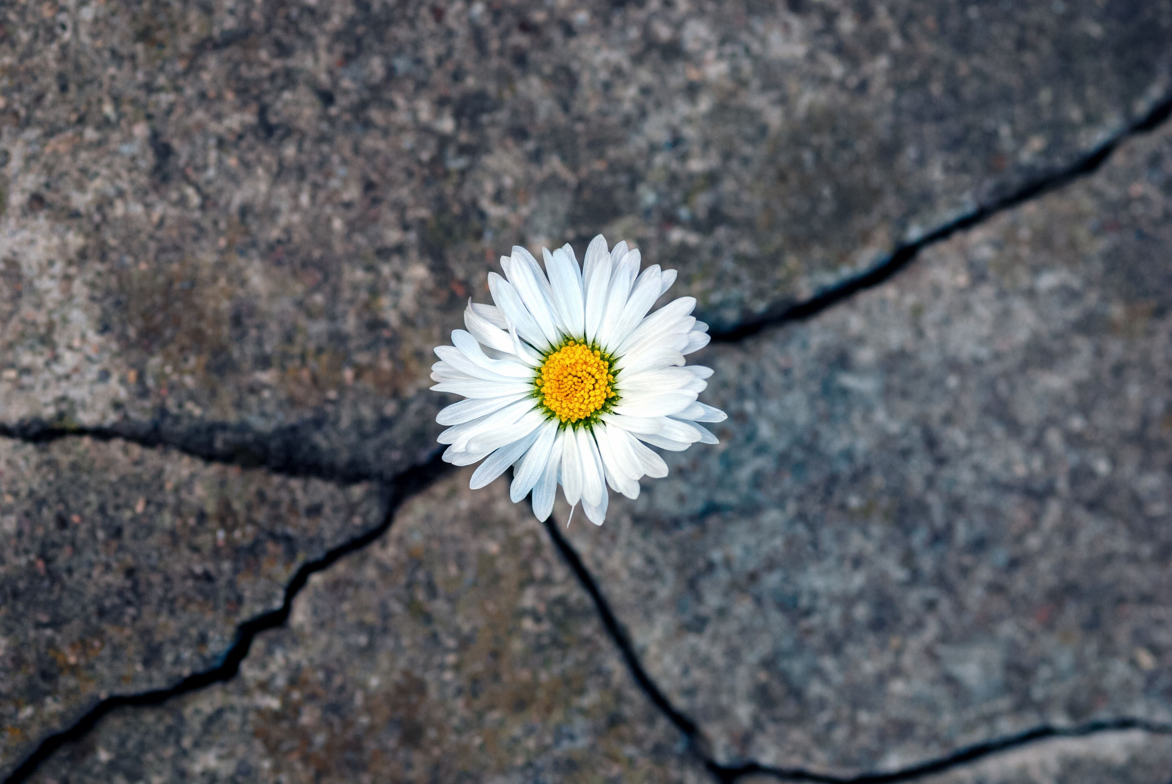 Resilience and the Strategy Deficit